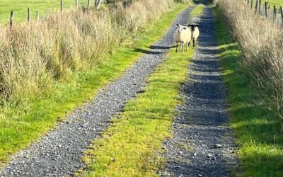 The Cruckahenny Trail