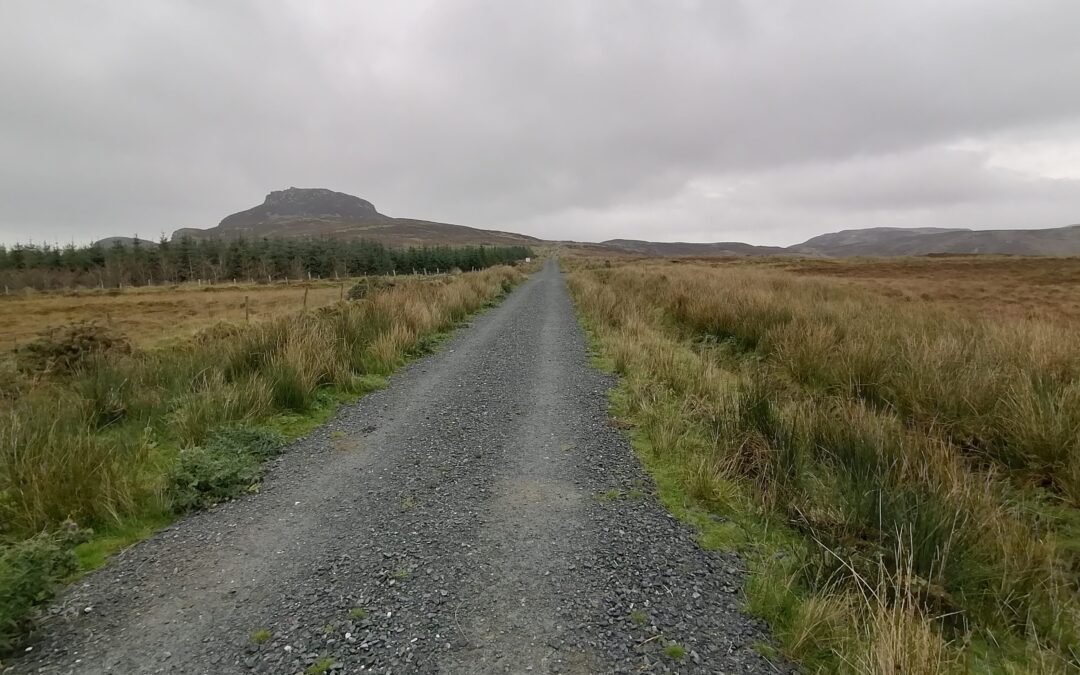 Drovers Trail (The Old Carn Road)