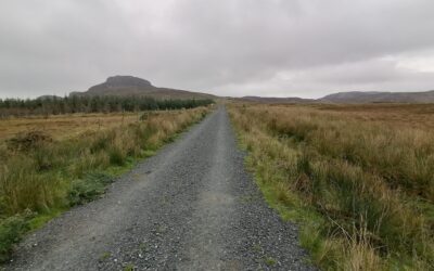 Drovers Trail (The Old Carn Road)