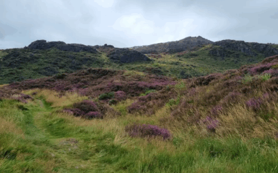 The Fox’s Rock Bulaba Loop